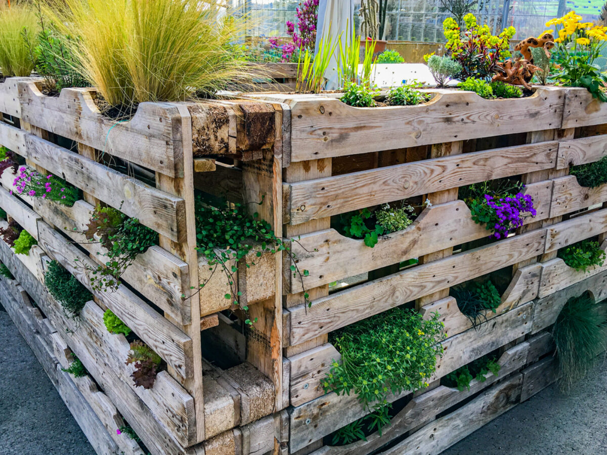 Pallet garden on sale